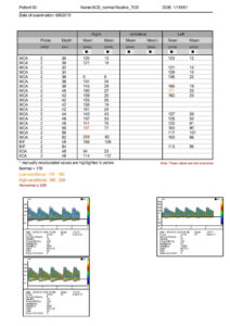 Sichelzellen Report (Ausschnitt)